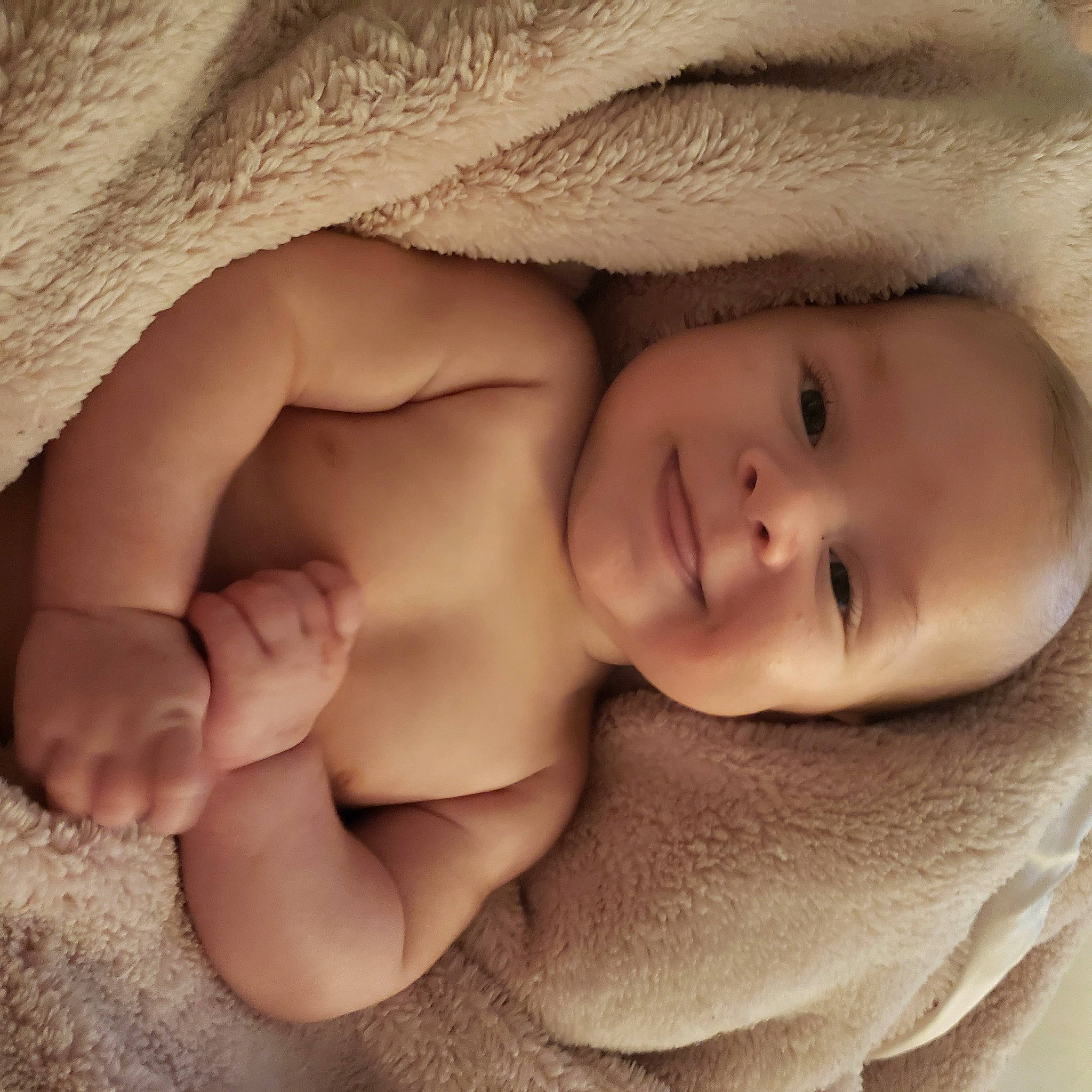 Niklaus is registered to the contest to win money with this photo: baby, baby_sleeping, cheek, child, chin, close_up, eye, face, finger, forehead, gesture, hand, head, joy, lip, mouth, muscle, nose, person, photography