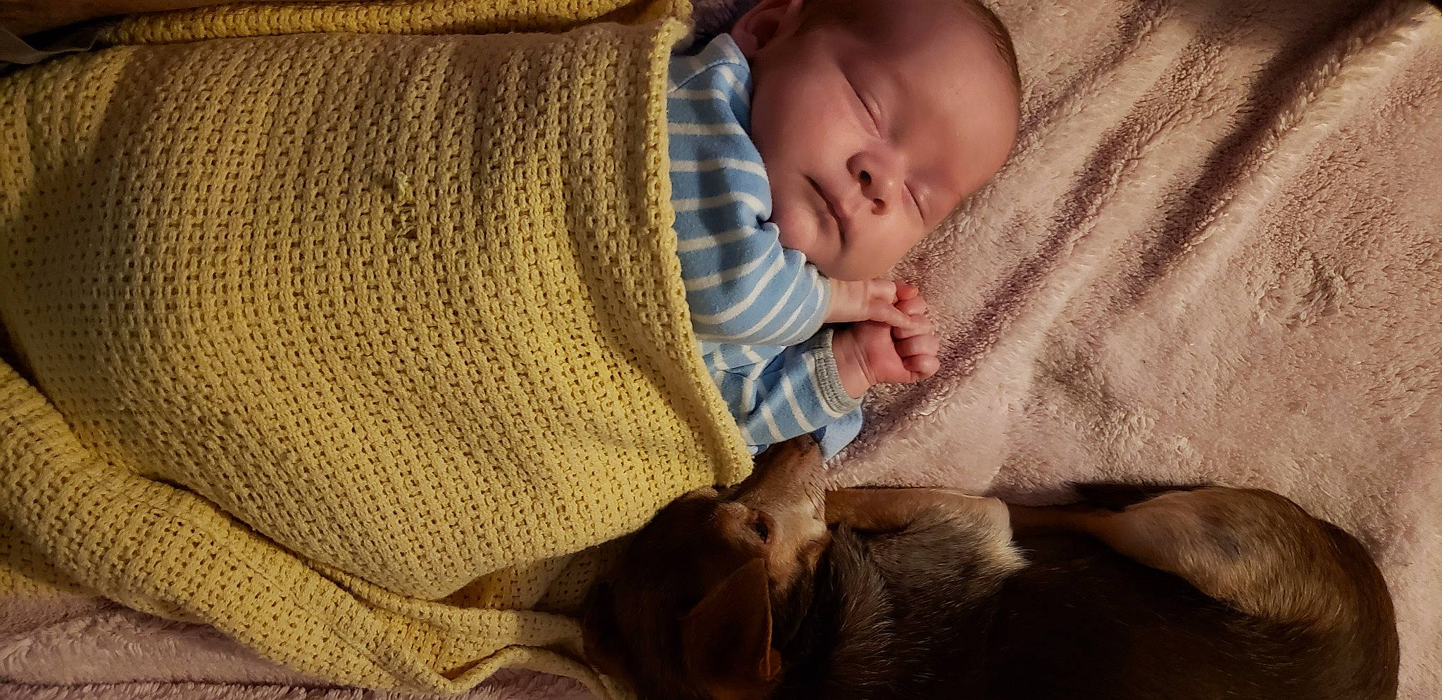 Niklaus is registered to the contest to win money with this photo: baby, baby_sleeping, bedtime, blanket, cheek, child, comfort, ear, fawn, human, nap, nose, person, skin, sleep, toddler