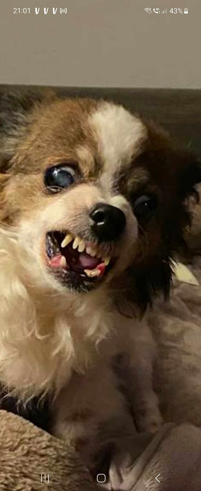 Maddy