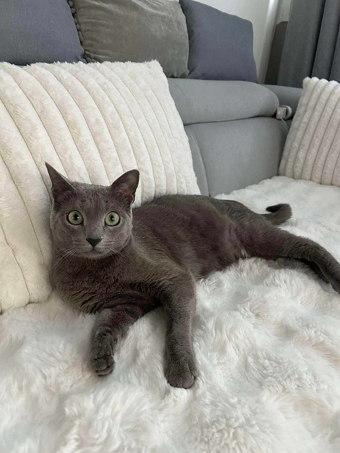 Hera