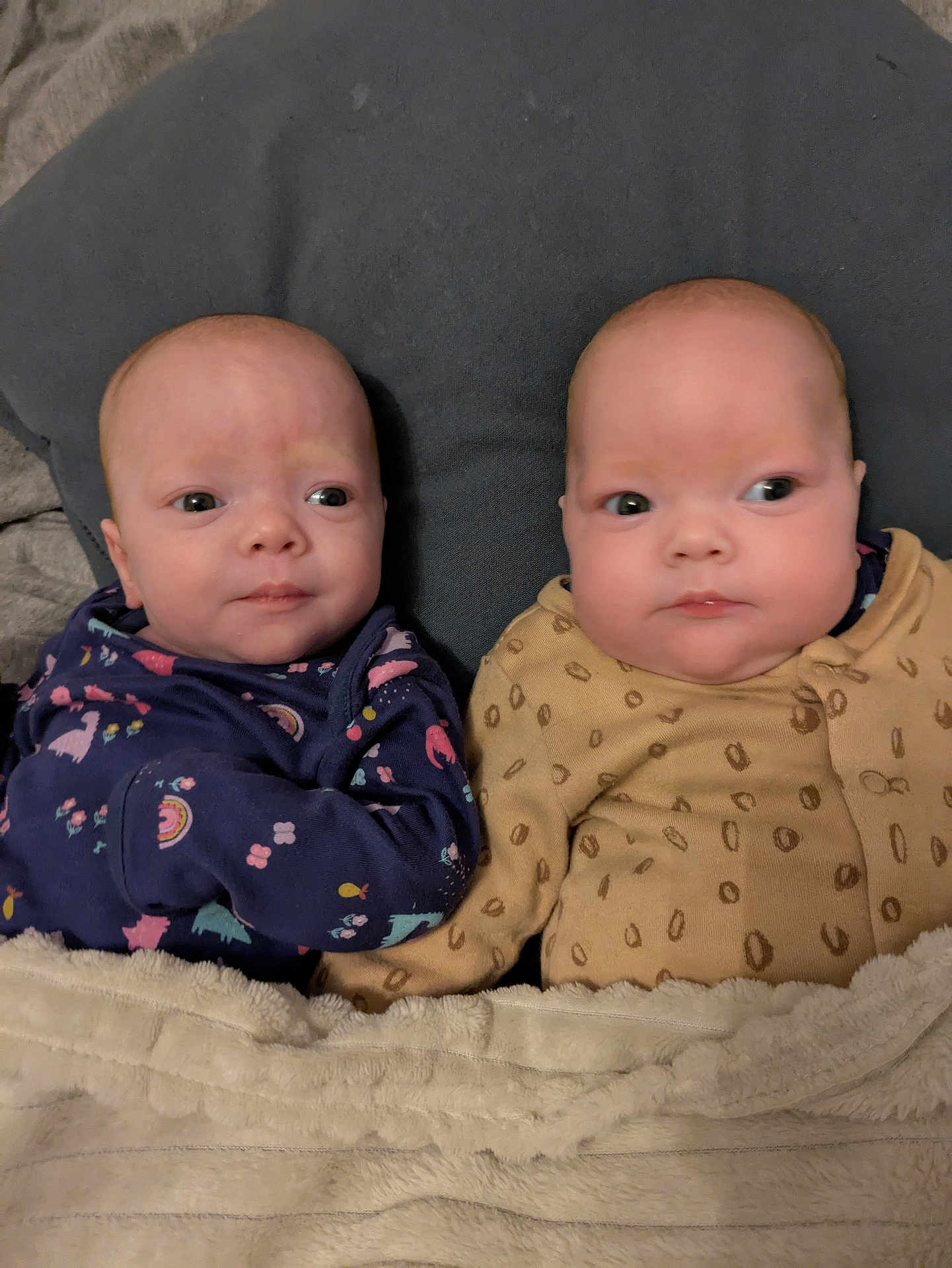 Millie is registered to the contest to win money with this photo: baby, infant, blanket, cushion, clothing, cute, face, person, portrait, newborn, lying_down, sleepwear, indoors, two_babies, baby_girls, cozy, soft, young_children, bedtime, comfort