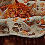 cat, orange_cat, sleeping, blanket, paw_prints, basket, cozy, fur, pet, resting, indoor, cute, animal, soft, comfort, nap, warm, texture, closeup, peaceful