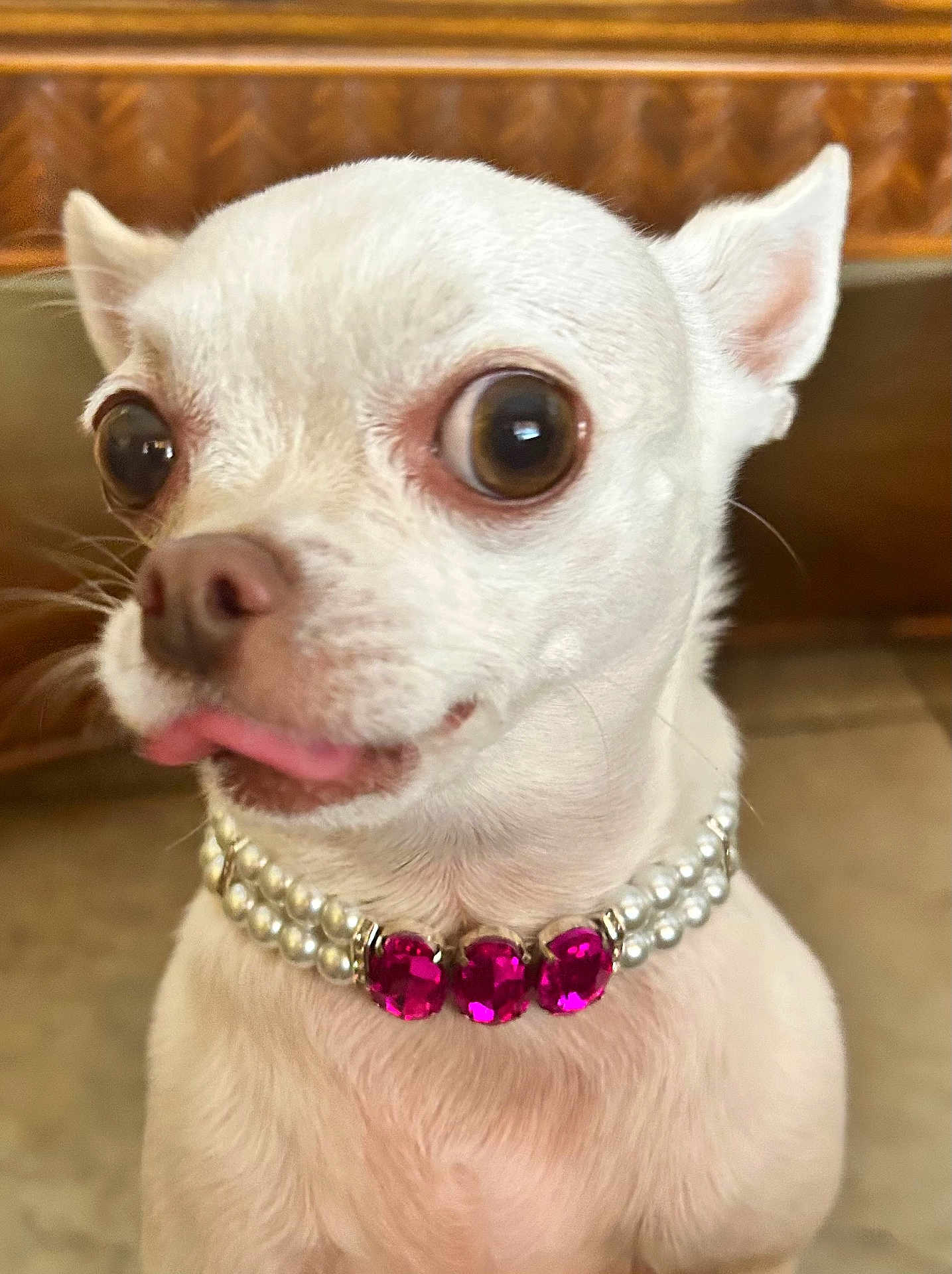 Suki