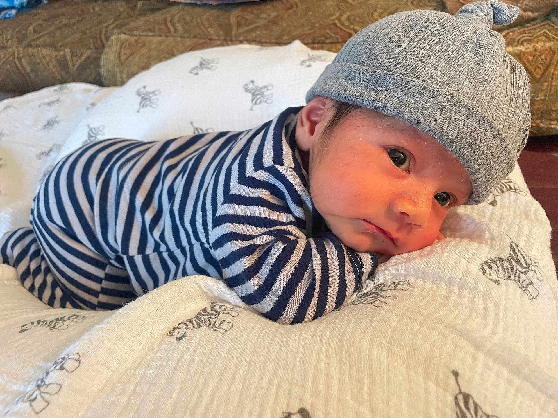 Jeremy joined the competition — help win amazing prizes! baby, infant, striped_clothing, blue_and_white, beanie, hat, blanket, zebra_pattern, couch, indoor, face, eyes, portrait, cute, child, newborn, resting, cozy, soft, home