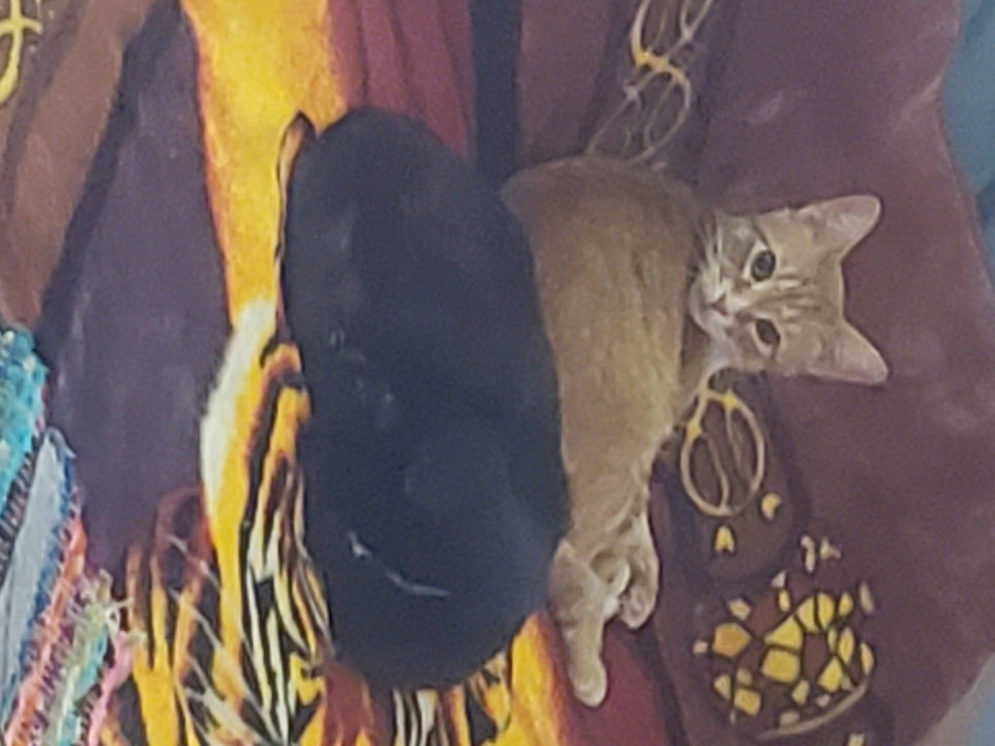 Rikki joined the competition — help win amazing prizes! automotive_tire, event, fashion_accessory, fawn, felidae, fur, grey, headgear, metal, night, pattern, room, shadow, small_to_medium_sized_cats, tail, tree, visual_arts, whiskers, wildlife, wood