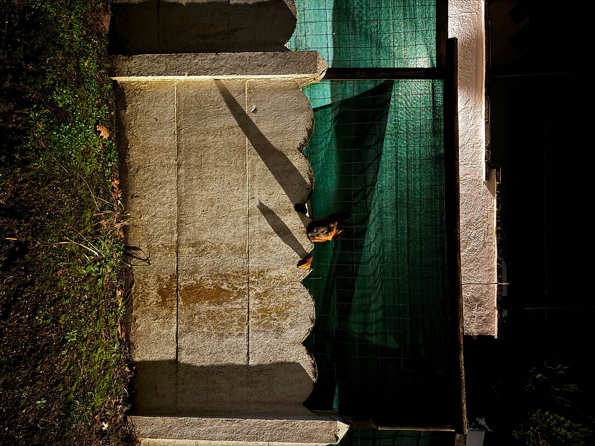 Kaipo participe au concours pour gagner de l'argent avec cette photo : asphalt, brick, brickwork, city, darkness, door, facade, grass, metal, plant, rectangle, road, road_surface, shade, shadow, stairs, sunlight, tints_and_shades, water, wood