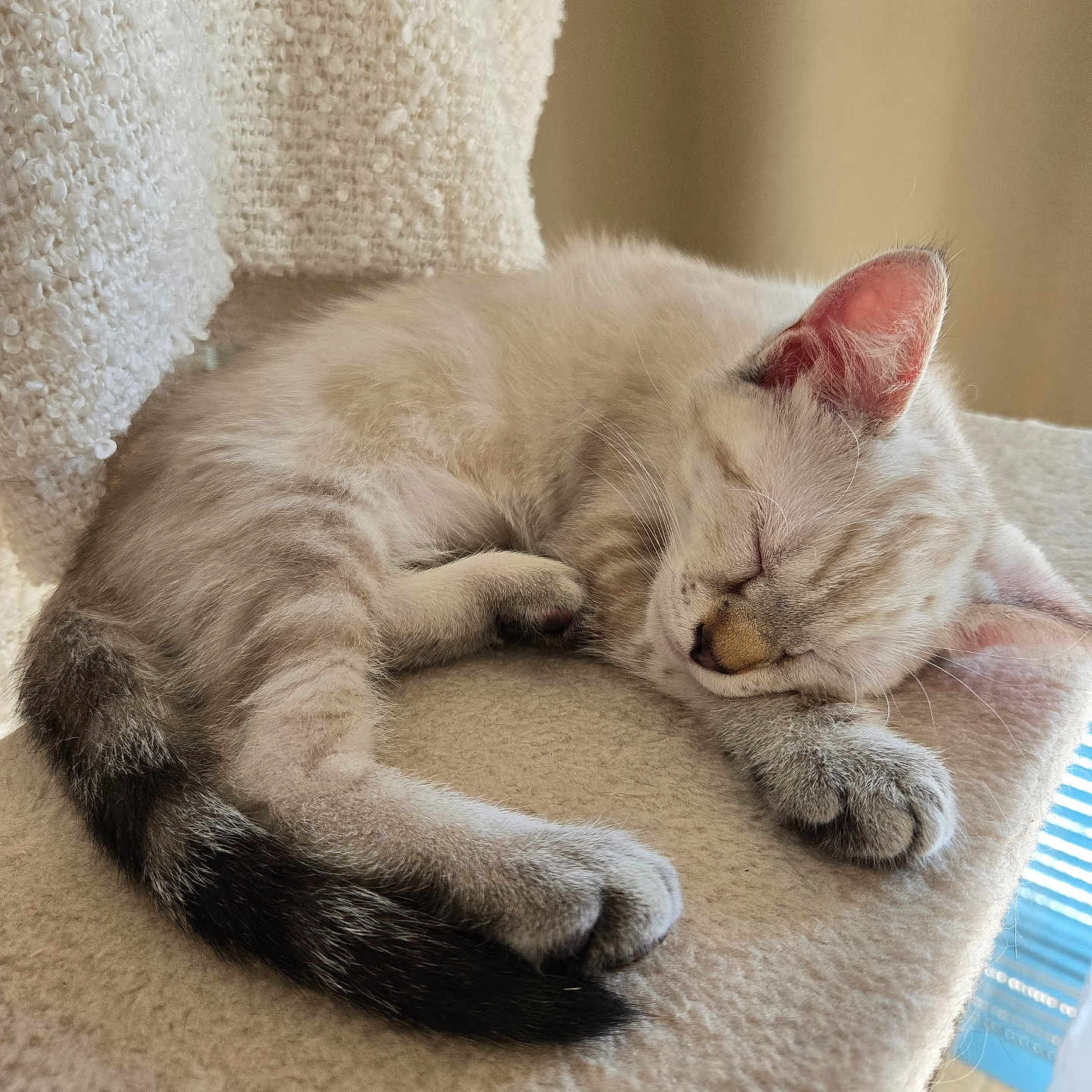 Luna