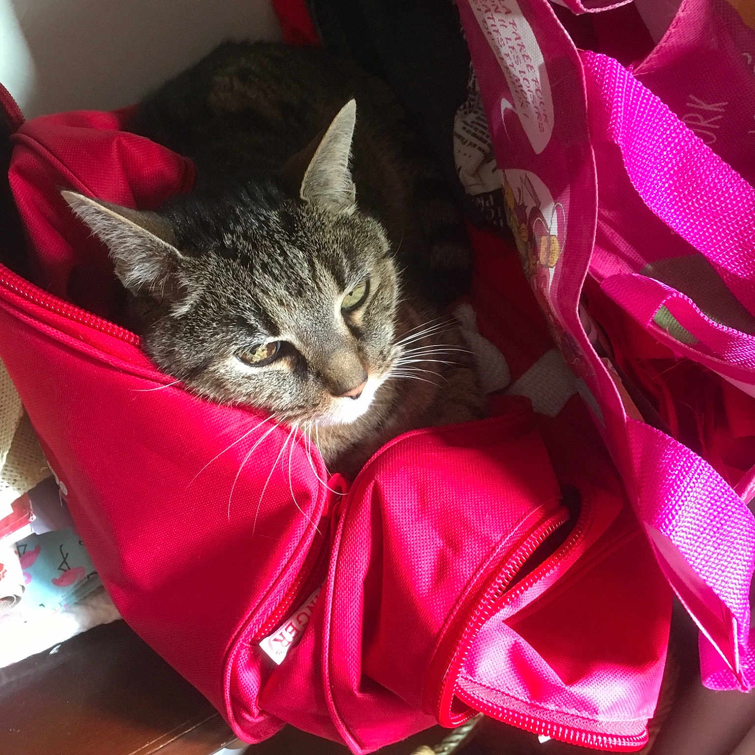Mimi
