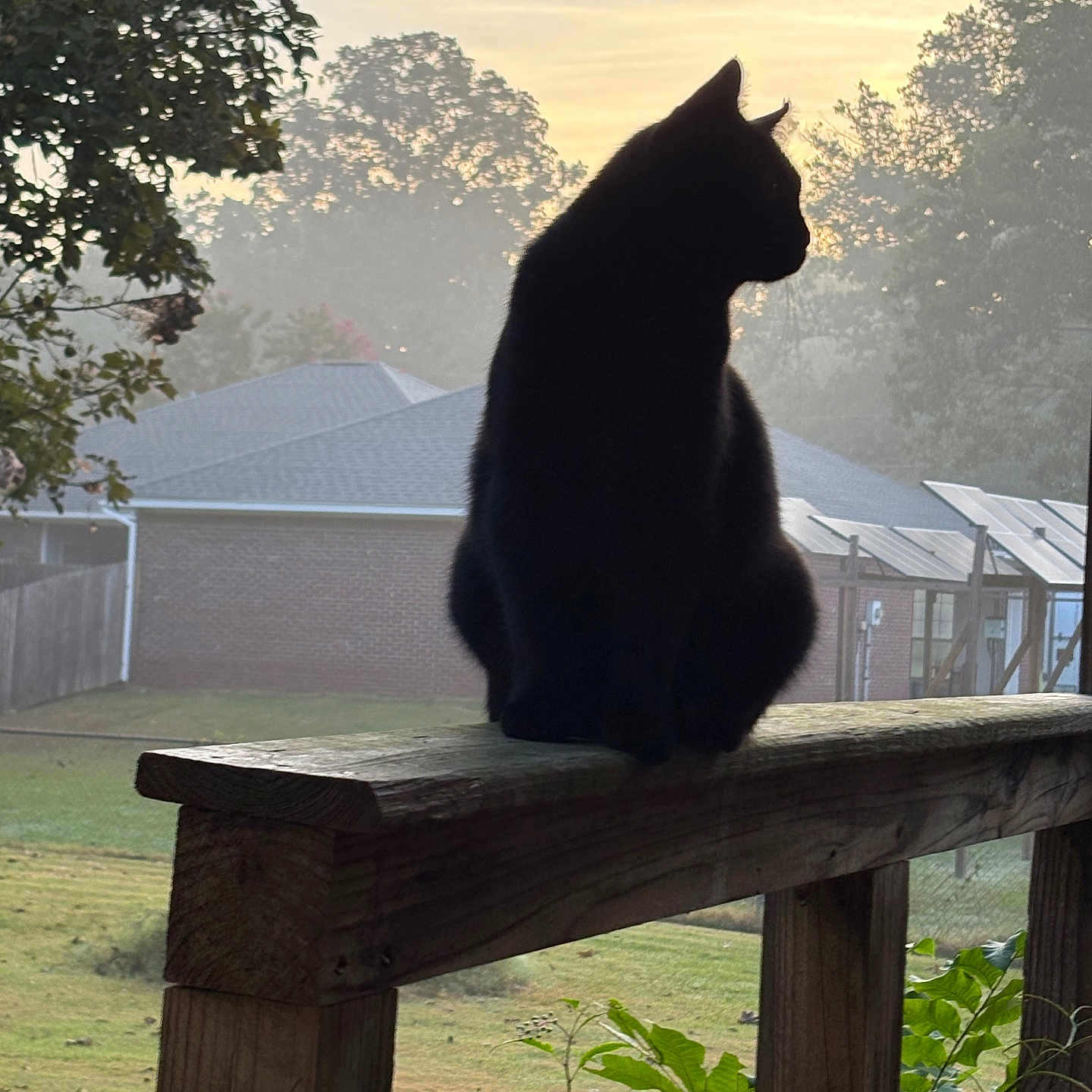 Stormy