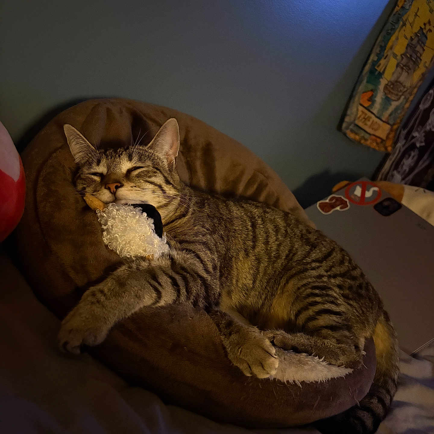 Frankie joined the competition — help win amazing prizes! cat, tabby, sleeping, plush_cushion, toy, indoor, cozy, pet, feline, striped, resting, bed, soft_light, relaxation, animal, cute, domestic_cat, fur, whiskers, comfort