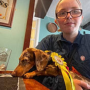 Betty Boo is registered to the contest to win money with this photo: award_ribbon, brown_dog, celebration, dachshund, dog, drink, eyewear, glass, glasses, home, indoor, long_body, long_ears, person, portrait, selfie, sleeping, table, winner, yellow_ribbon