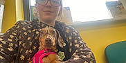 Betty Boo is registered to the contest to win money with this photo: person, dog, dachshund, glasses, floral_jacket, pink_harness, indoor, yellow_wall, window, pamphlets, seated, pet, cute, holding, portrait, smile, furniture, hand, nail_polish, casual