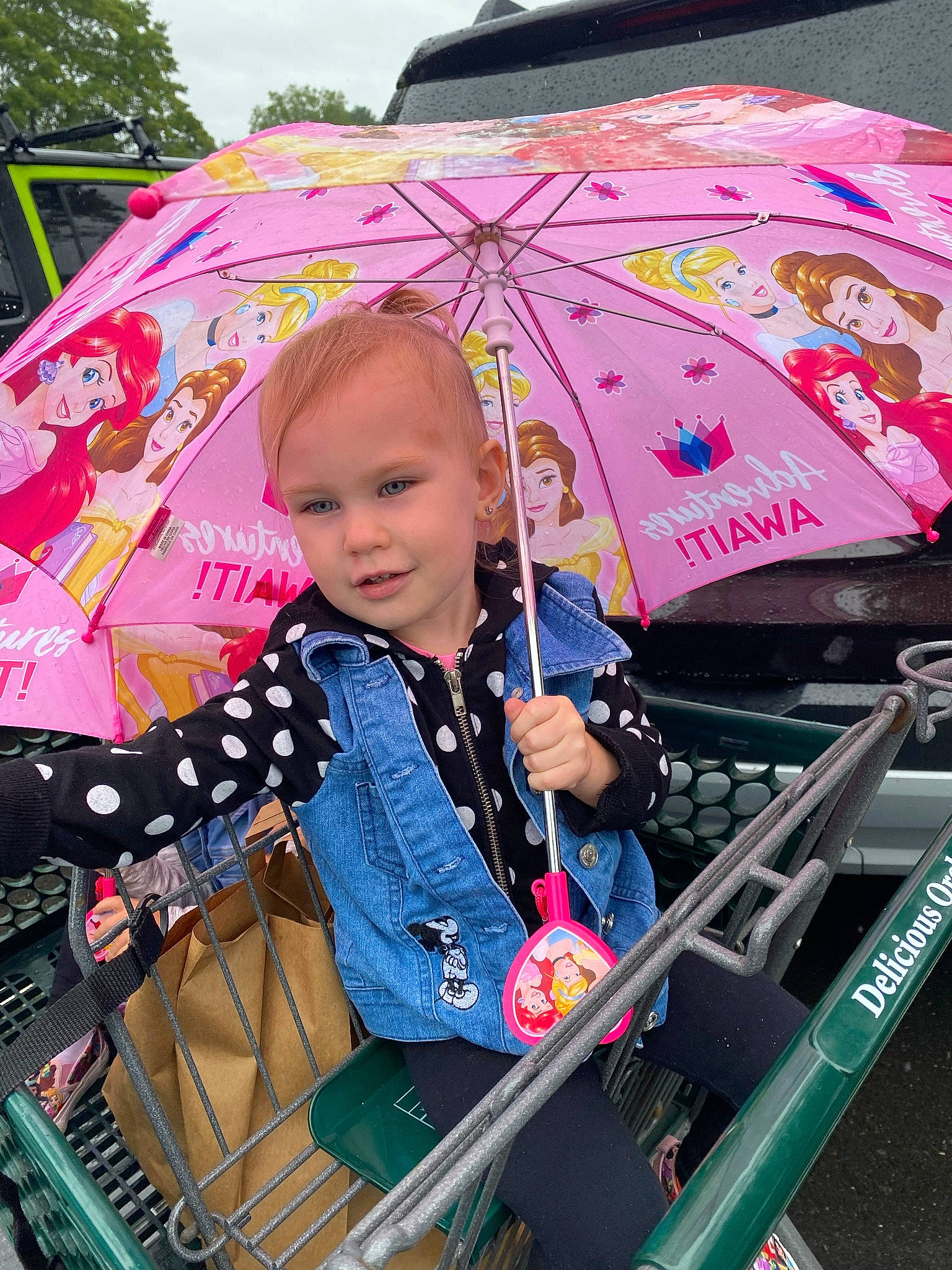 Elaina joined the competition — help win amazing prizes! automotive_exterior, baby_carriage, child, event, fashion_accessory, fun, human, leisure, magenta, motor_vehicle, outerwear, person, pink, product, recreation, red, t_shirt, toddler, travel, umbrella