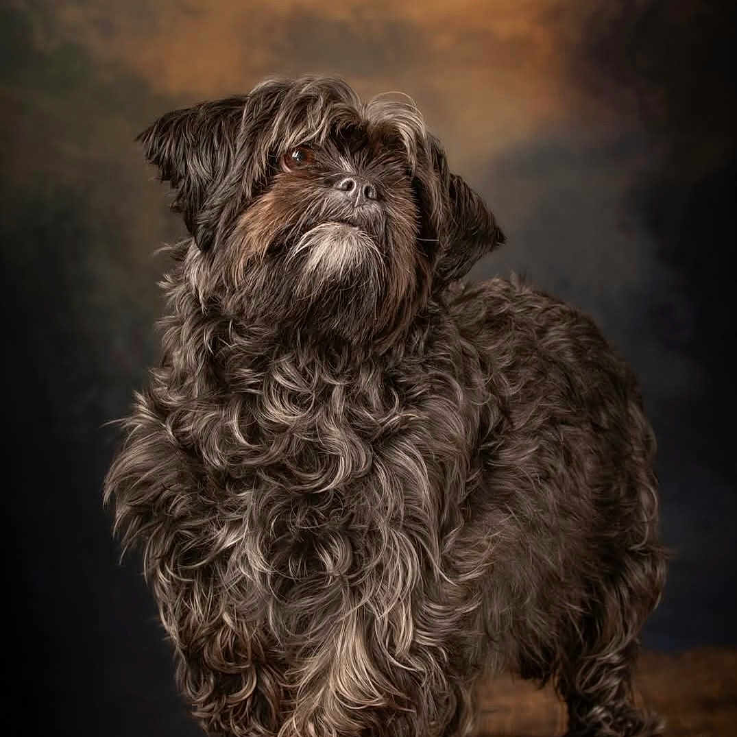 Sophie