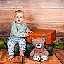toddler, child, baby, suitcase, vintage_suitcase, teddy_bear, plush_toy, wooden_floor, wooden_wall, green_leaves, pants, hoodie, barefoot, indoor, portrait, seated, curious, clothing, toy, photography