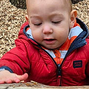 Eliott participe au concours pour gagner de l'argent avec cette photo : child, close_up, clothing, curious, daylight, exploring, face, hand, nature, outdoor, person, play, portrait, red_jacket, toddler, tree_trunk, winter_clothing, wood, wood_chips, young_child