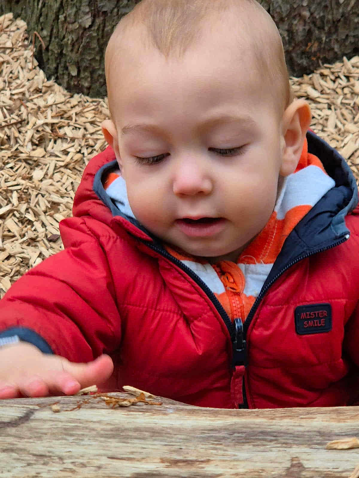 Eliott participe au concours pour gagner de l'argent avec cette photo : child, close_up, clothing, curious, daylight, exploring, face, hand, nature, outdoor, person, play, portrait, red_jacket, toddler, tree_trunk, winter_clothing, wood, wood_chips, young_child