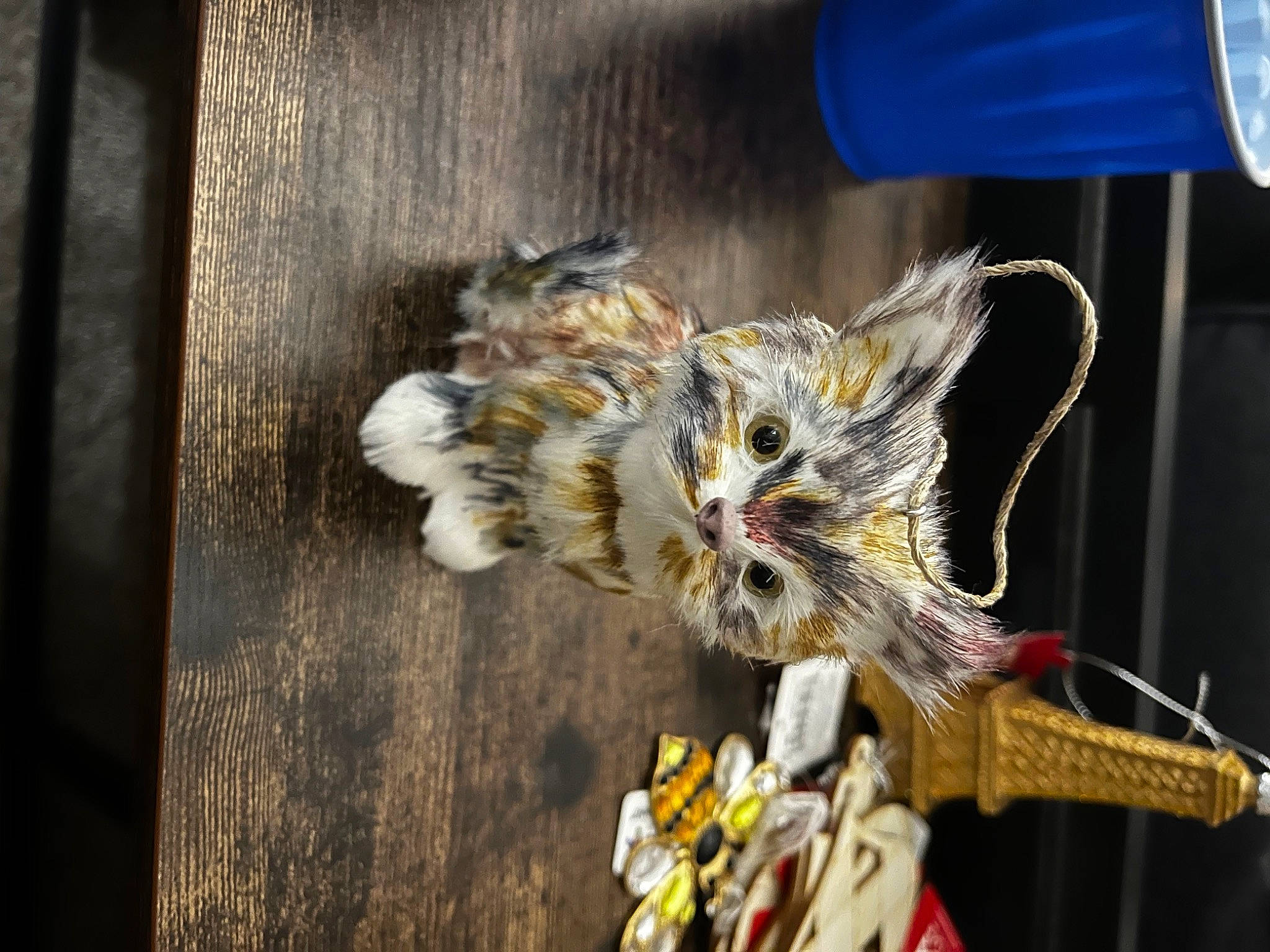 Sophie joined the competition — help win amazing prizes! carnivore, cat, claw, event, fashion_accessory, feather, felidae, fur, hardwood, plant, small_to_medium_sized_cats, still_life_photography, whiskers, wing, wood