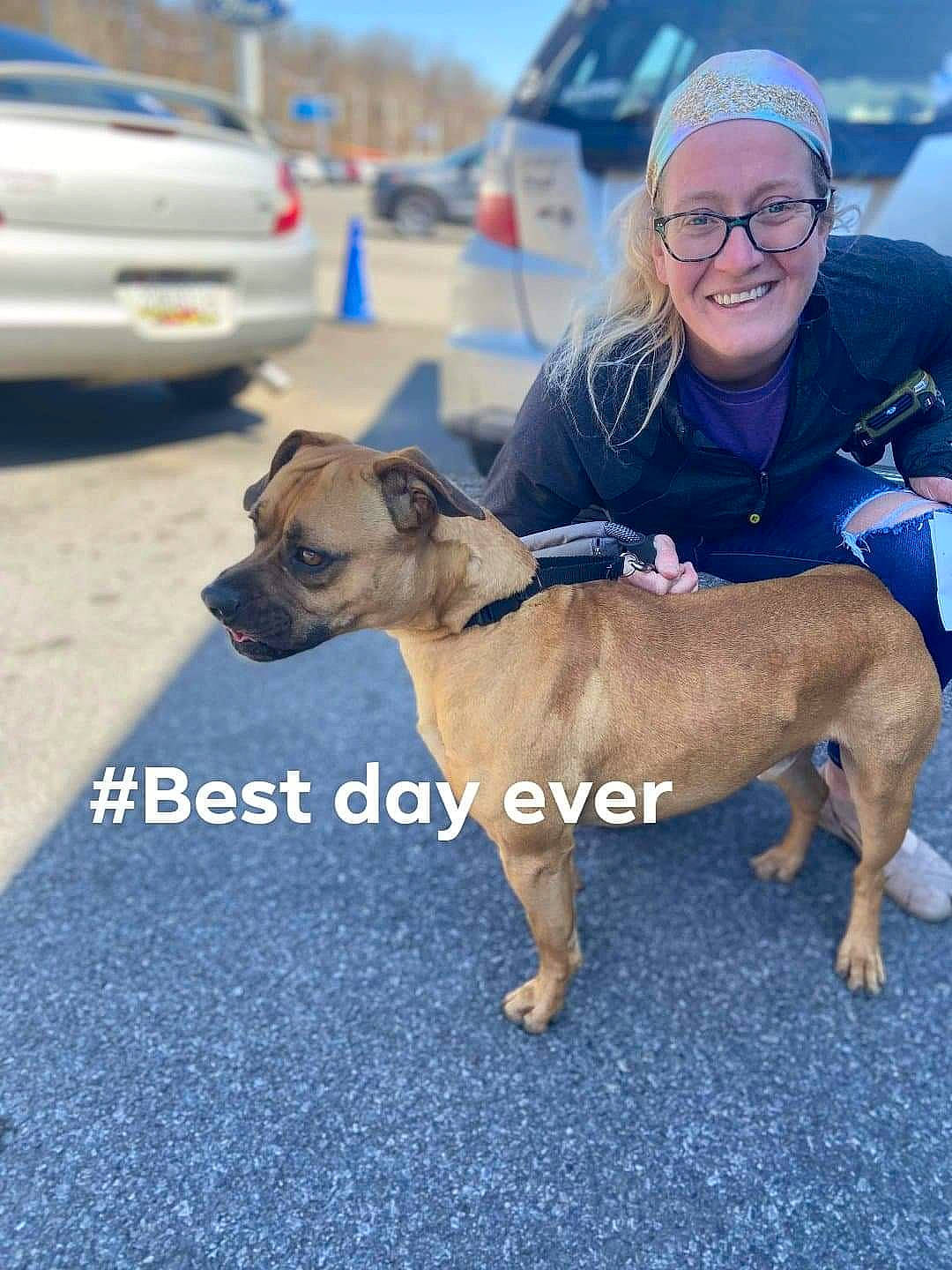 Frosty Copper is registered to the contest to win money with this photo: car, carnivore, collar, companion_dog, dog, dog_breed, dog_collar, dog_supply, eyewear, fashion_accessory, fawn, glasses, hat, leash, smile, sporting_group, street_fashion, sunglasses, tire, toy_dog