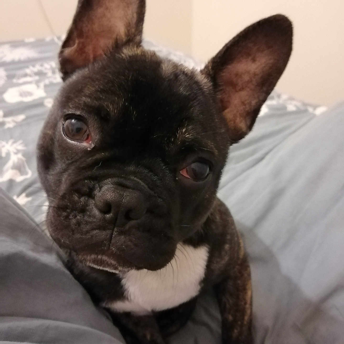 Aimy