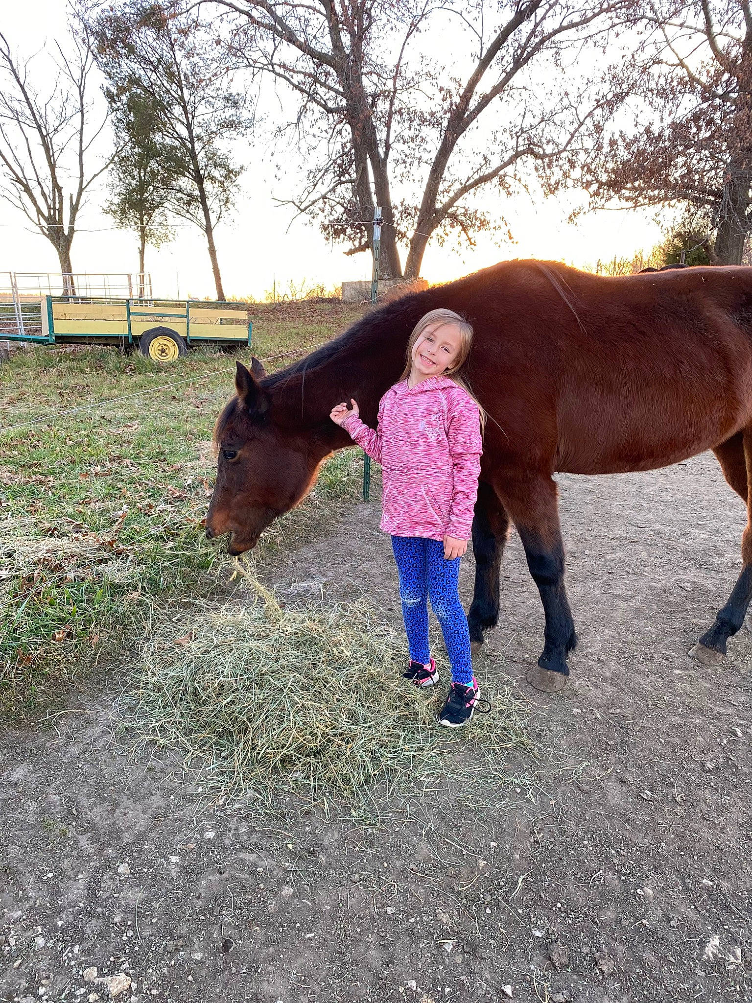Aleana is registered to the contest to win money with this photo: bridle, grass, halter, horse, horse_supplies, horse_tack, joy, landscape, liver, livestock, mane, mare, pack_animal, people_in_nature, person, plant, ranch, rein, sky, snout