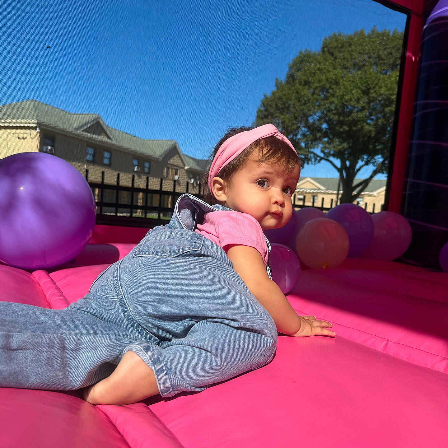 Leilani Veglia joined the competition — help win amazing prizes! baby, balloons, building, child, crawling, cute, daylight, fun, headband, inflatable, outdoor, overalls, person, pink, play, purple, sky, summer, toddler, tree
