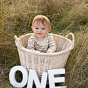 Zaden joined the competition — help win amazing prizes! baby, basket, grass, outdoor, child, smiling, sweater, nature, field, letters, one, celebration, cute, portrait, infant, first_birthday, happy, young, sitting, daylight