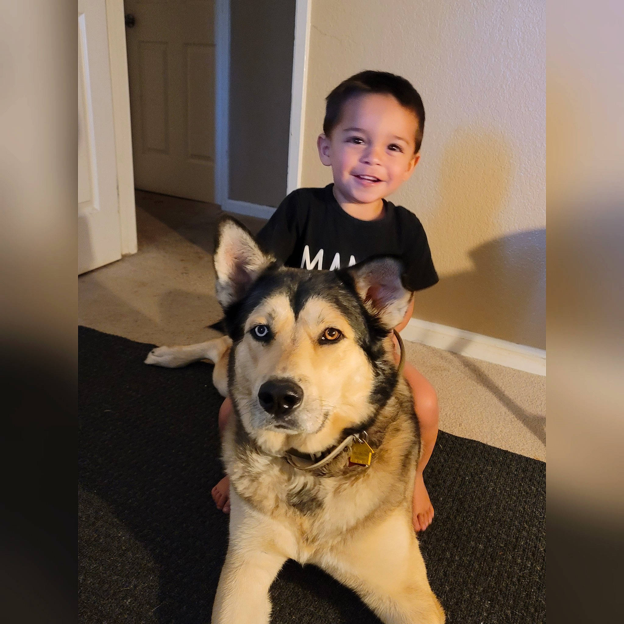 Alaric is registered to the contest to win money with this photo: carnivore, companion_dog, dog, dog_breed, door, eye, fawn, flooring, hair, happy, head, iris, jaw, joy, person, shorts, sleeve, smile, snout, t_shirt