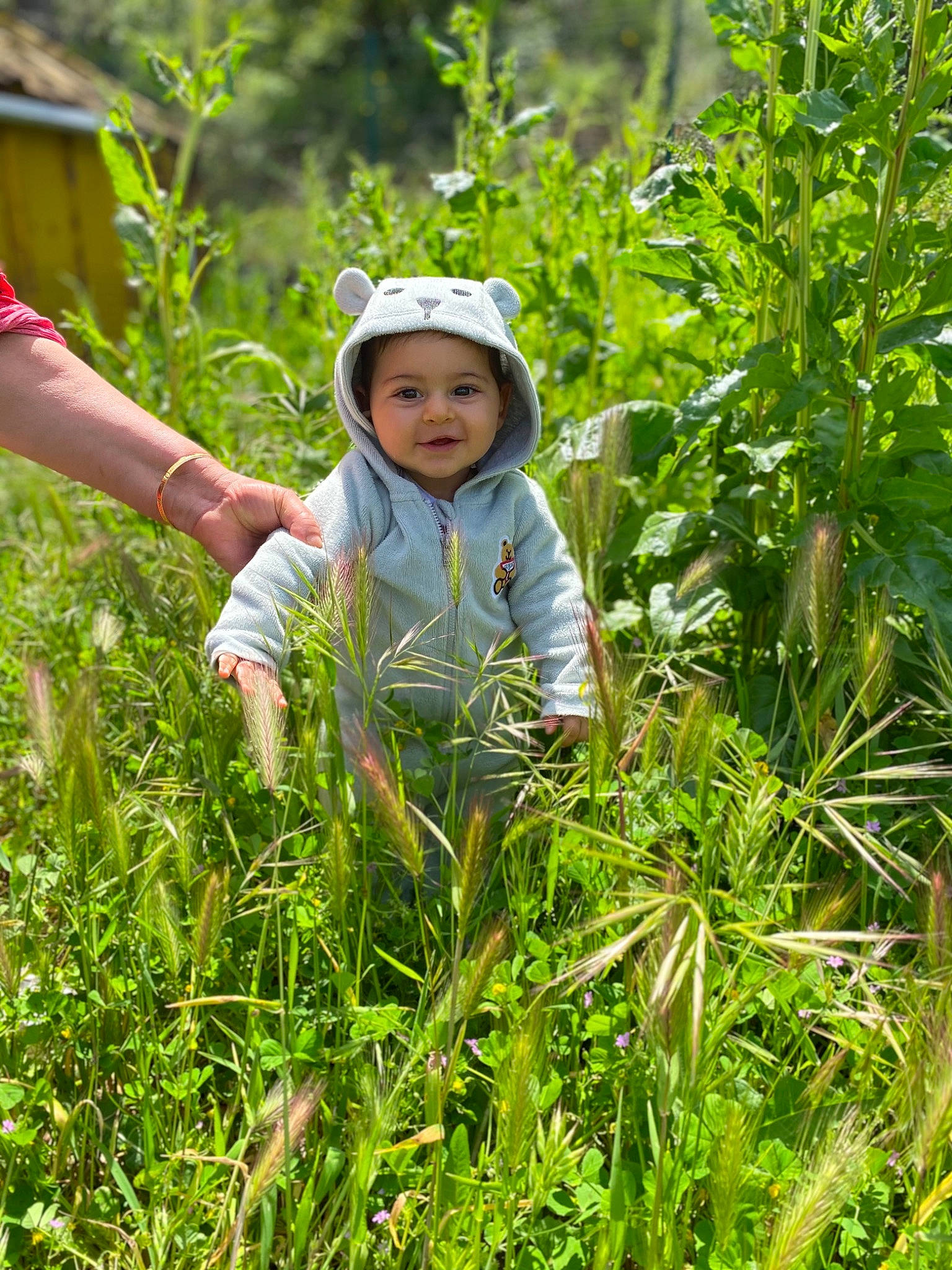 Lotfi a rejoint le concours — aidez-le/la à gagner de superbes lots ! agriculture, baby_toddler_clothing, farmer, field, flowering_plant, fruit, grass, grass_family, grassland, groundcover, happy, headwear, meadow, natural_landscape, people_in_nature, person, plant, plantation, prairie, shrub