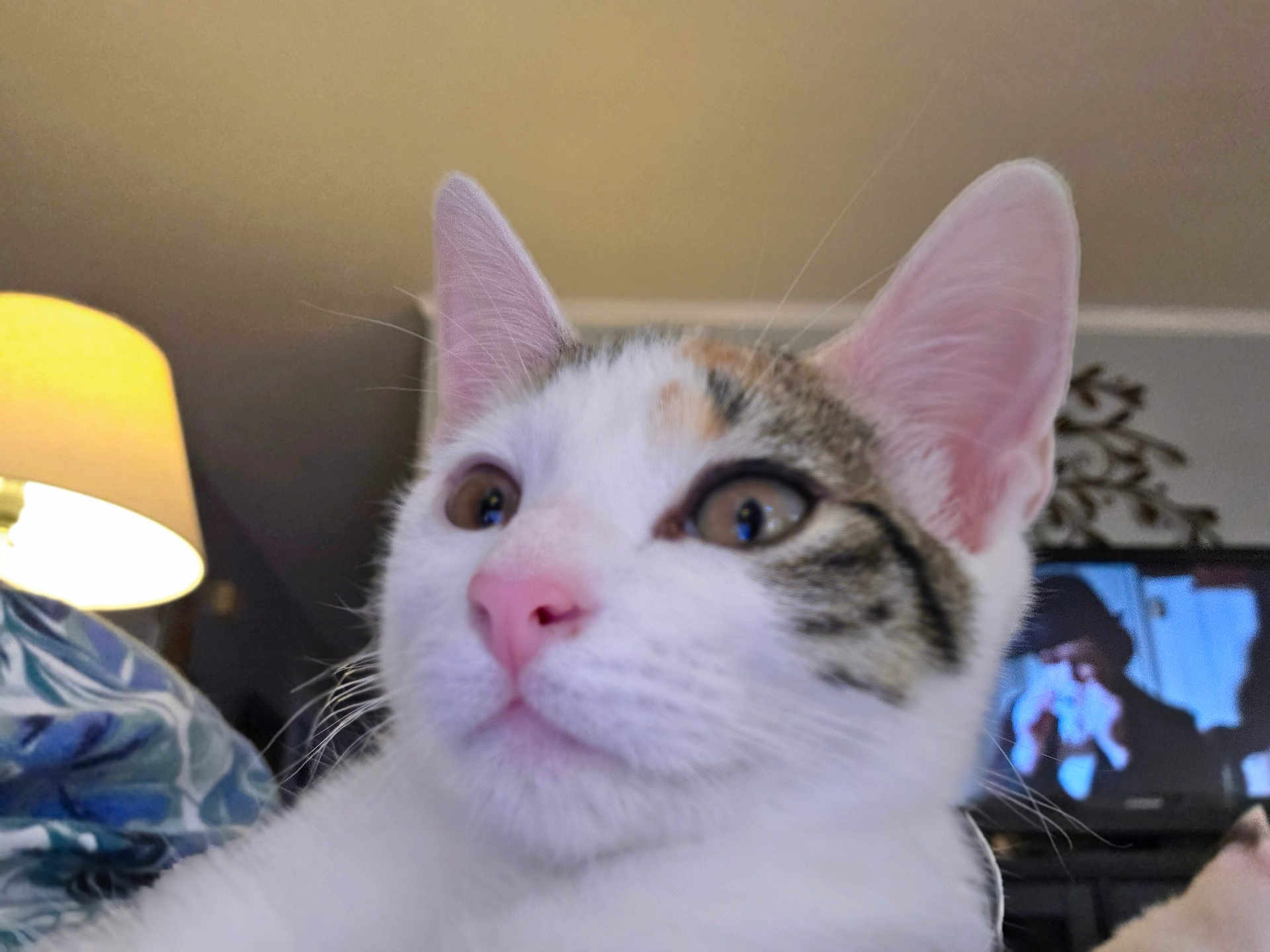 Jinx