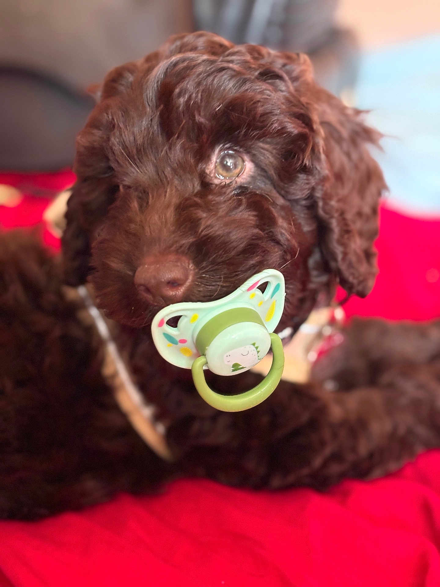 Finley