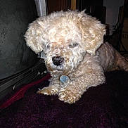 Mackey is registered to the contest to win money with this photo: