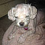 Mackey is registered to the contest to win money with this photo: