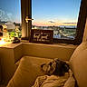 Griffey is registered to the contest to win money with this photo: dog, pet, sleeping, blanket, armchair, cozy, indoor, window, sunset, cityscape, skyline, evening, lamp, houseplant, home_decor, cushion, relaxing, warm_lighting, framed_sign, portrait