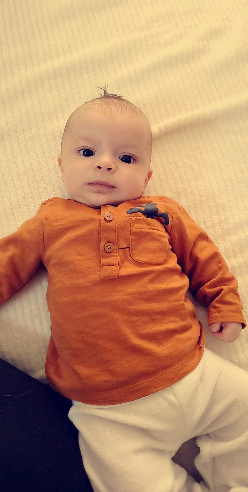 Jamie participe au concours pour gagner de l'argent avec cette photo : baby, baby_toddler_clothing, baby_toys, cheek, child, chin, collar, eye, eyebrow, finger, gesture, happy, linens, nose, orange, peach, person, sleeve, thumb, toy