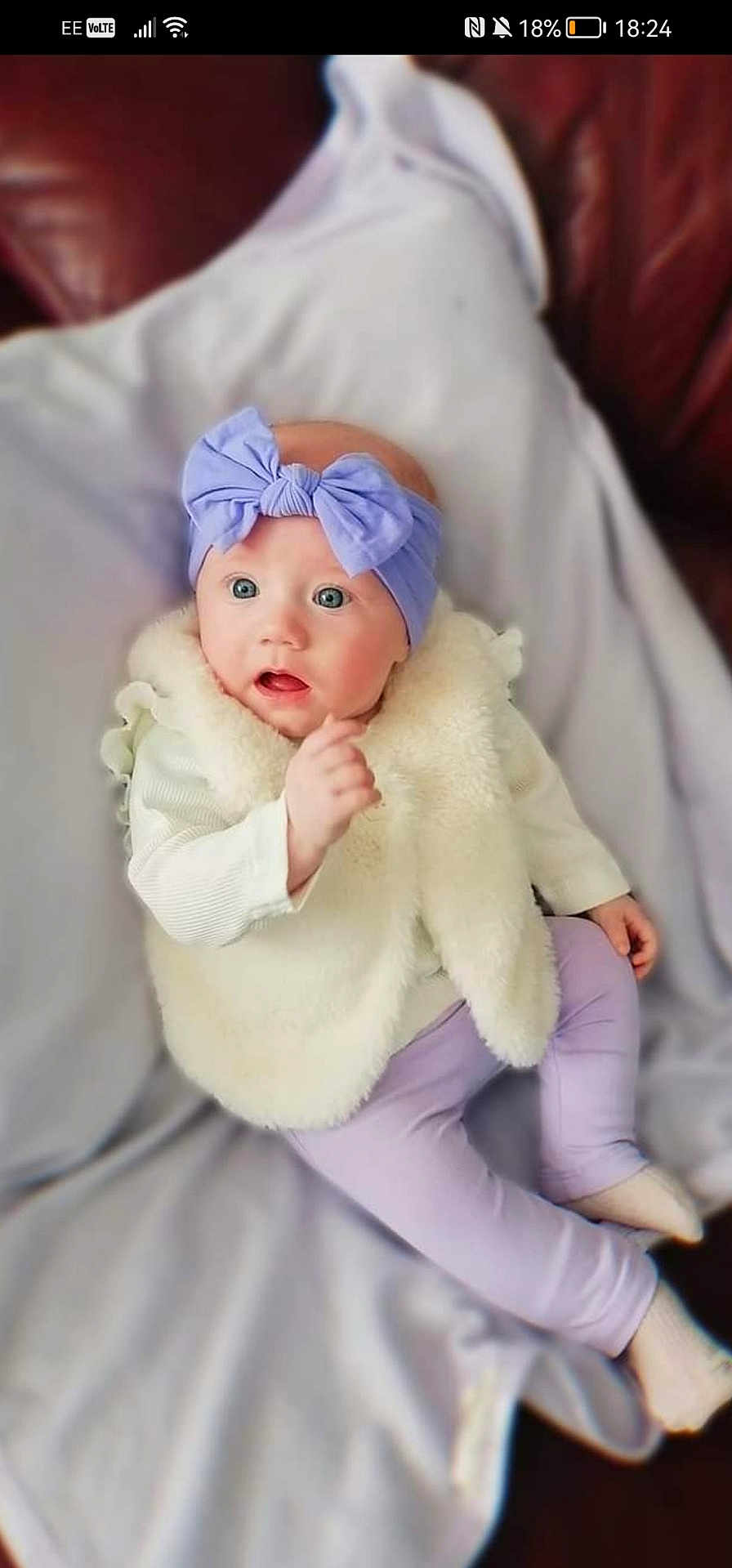 Kenzie-Leigh joined the competition — help win amazing prizes! animal, baby, blanket, bodypart, cat, clothing, couch, face, finger, furniture, glove, hand, hat, head, newborn, person, pet, photography, portrait, sleeping