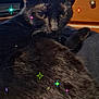 Mavis is registered to the contest to win money with this photo: cat, black_cat, indoor, feline, animal, pet, close_up, fur, whiskers, ears, relaxed, cozy, colorful_effects, pixel_art, stars, household, furniture, drawer, soft, cute