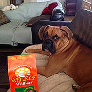 Allie joined the competition — help win amazing prizes!