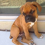 Allie is registered to the contest to win money with this photo: