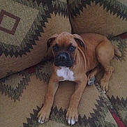 Allie is registered to the contest to win money with this photo: