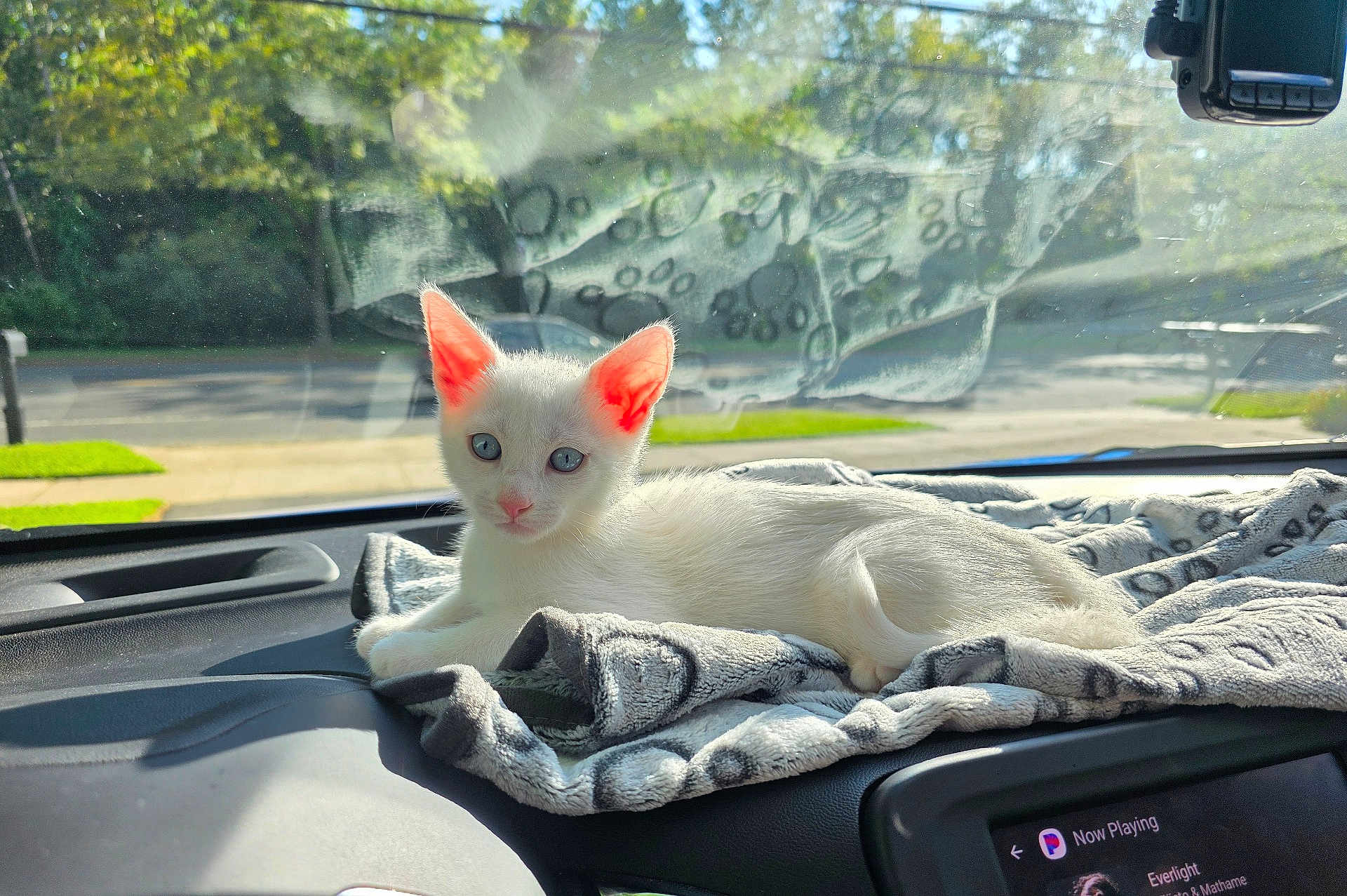 Léo