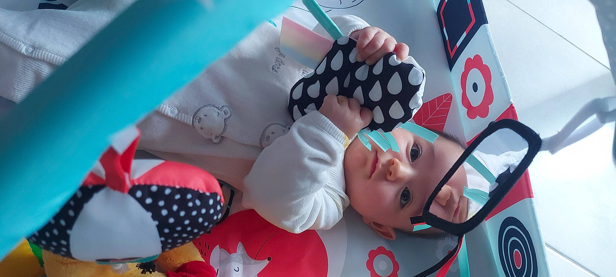 Mylana a rejoint le concours — aidez-le/la à gagner de superbes lots ! carmine, costume_hat, dress, event, eyelash, eyewear, fashion_accessory, flag_of_the_united_states, happy, hat, headwear, linens, paper, paper_product, pattern, person, petal, pink, polka_dot, product