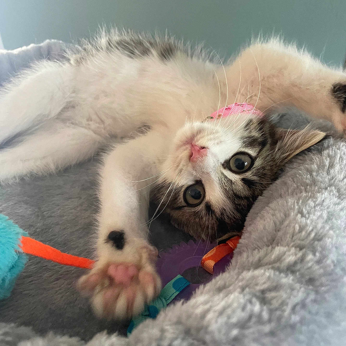 Ellie