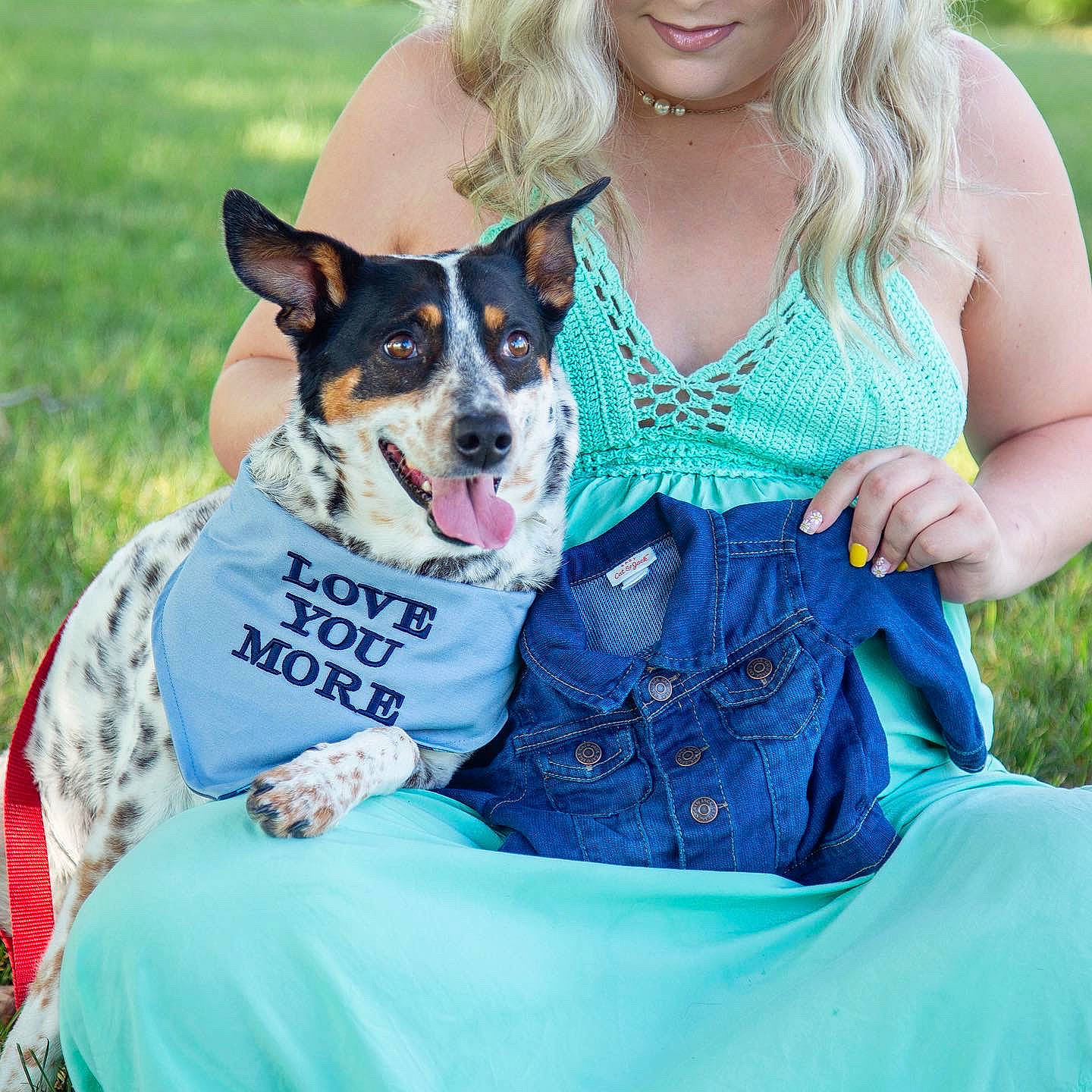 Eva is registered to the contest to win money with this photo: carnivore, clothing, companion_dog, dog, dog_breed, dog_clothes, electric_blue, event, fawn, formal_wear, fun, grass, green, happy, pattern, recreation, sitting, sporting_group, toy_dog, working_dog