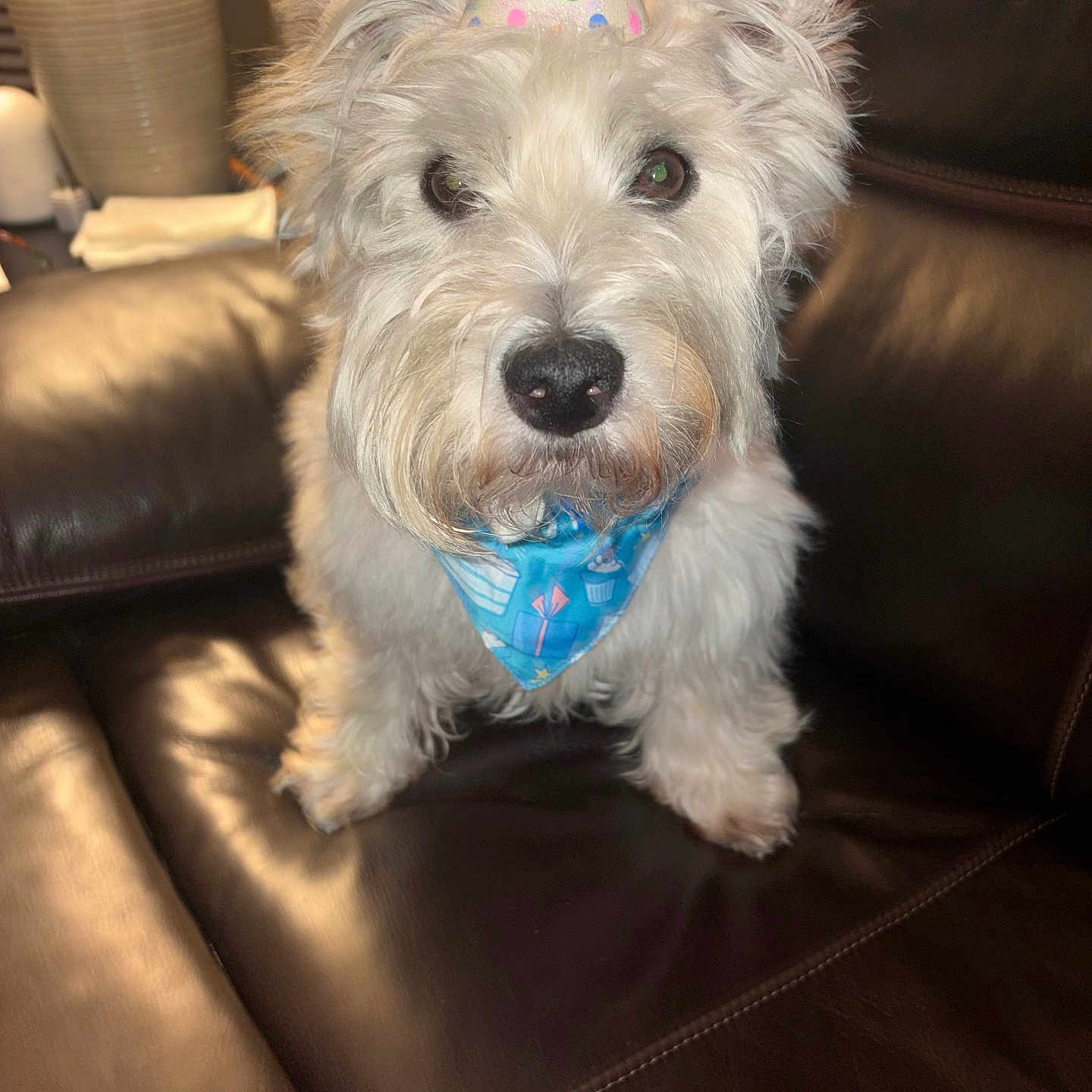 Finn