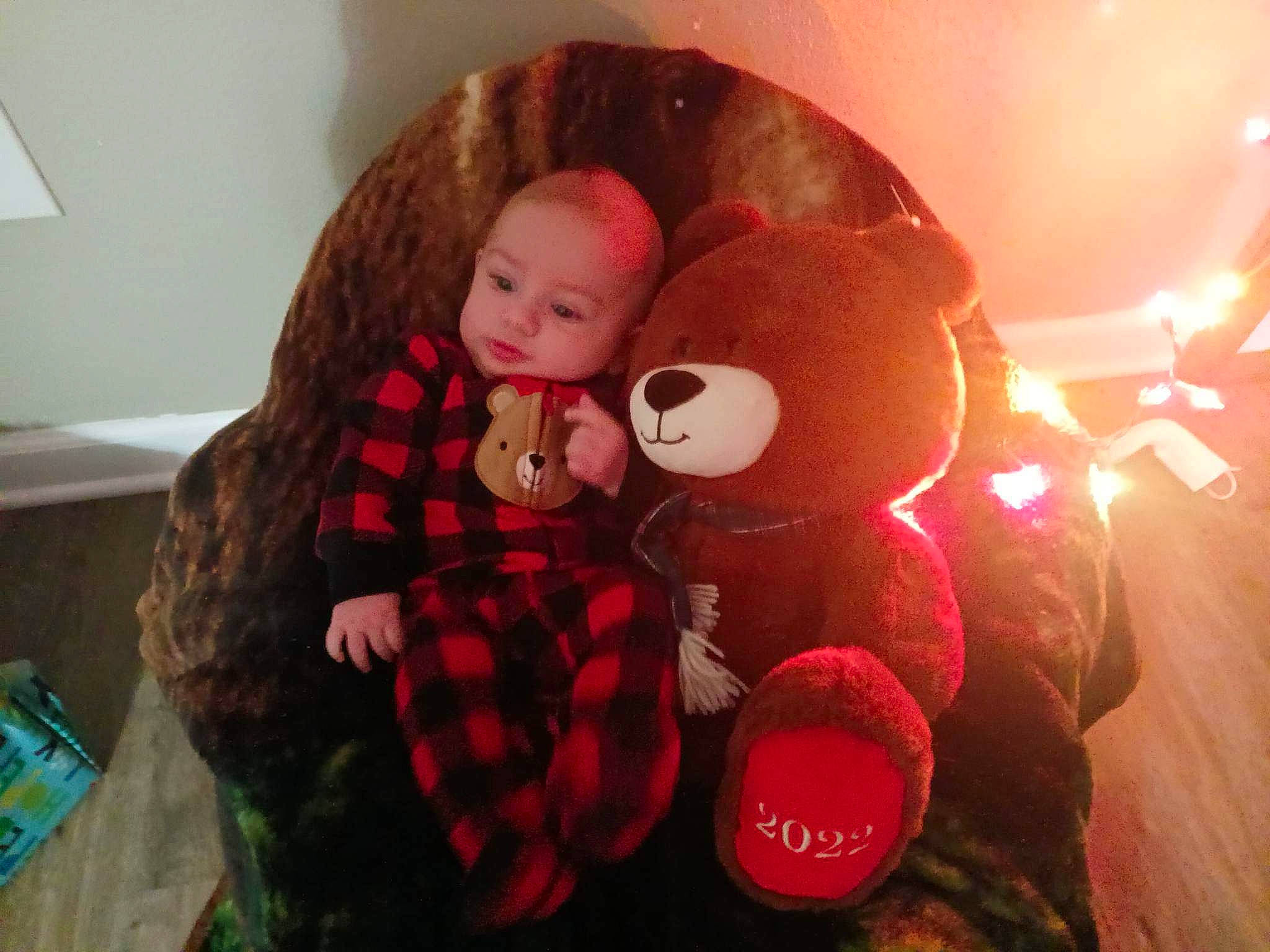 Chase joined the competition — help win amazing prizes! baby_toys, bear, carmine, child, christmas, christmas_eve, doll, event, fur, holiday, mammal, pattern, person, plaid, plush, room, stuffed_toy, tartan, teddy_bear, toy