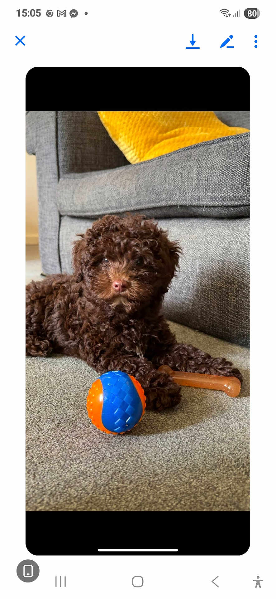 Rosie