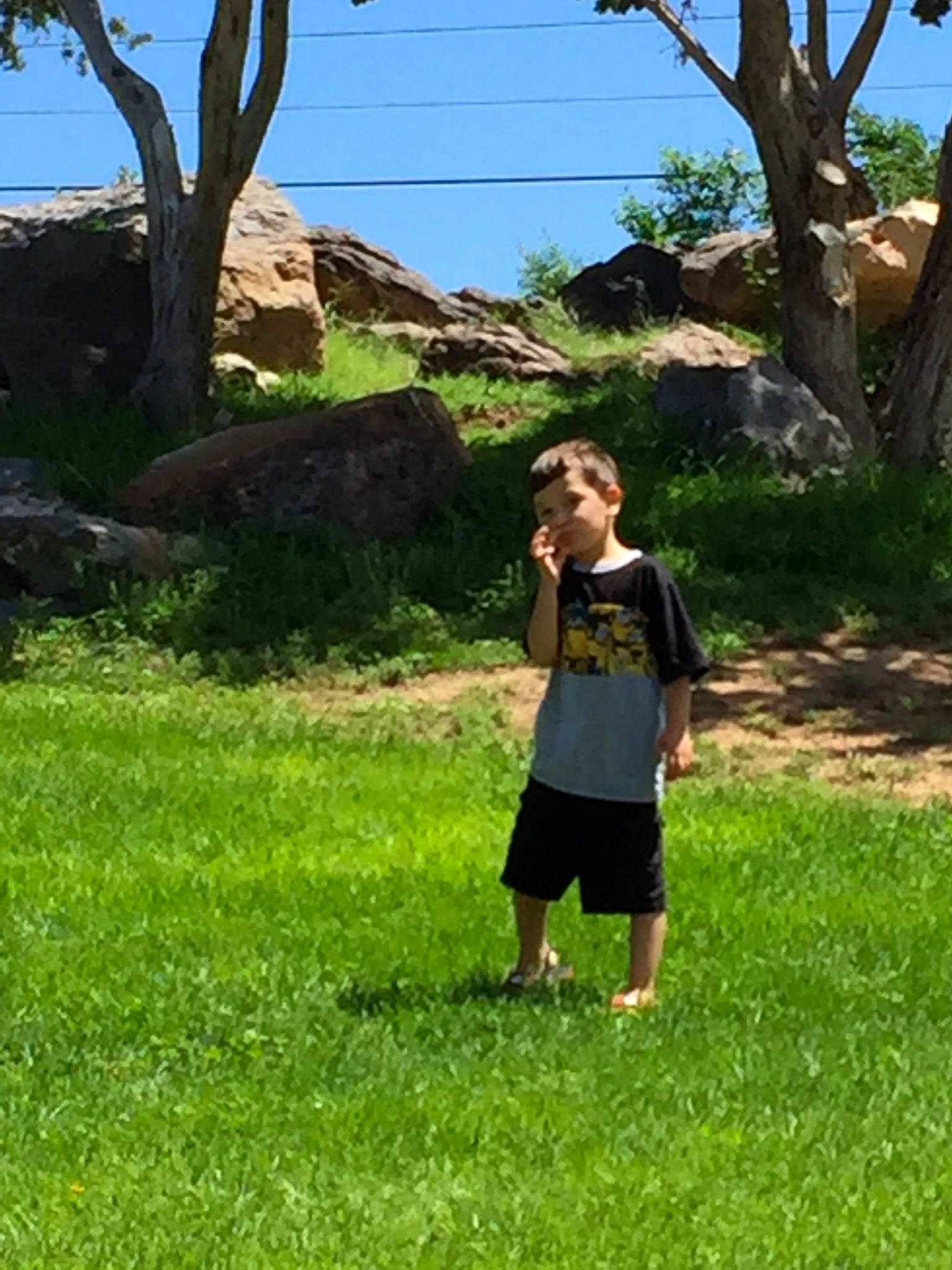 Justin Jr joined the competition — help win amazing prizes! fun, grass, grass_family, grassland, lawn, leaf, leisure, meadow, pasture, person, photograph, photography, plant, shoulder, snapshot, standing, summer, tree, vacation, walking