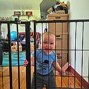 Ronald joined the competition — help win amazing prizes! toddler, child, baby, safety_gate, blue_shirt, shorts, toy, living_room, wooden_floor, cardboard_boxes, exercise_ball, couch, colorful_blanket, smiling, standing, indoors, furniture, person, play, home