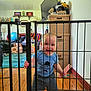 toddler, child, baby, safety_gate, blue_shirt, shorts, toy, living_room, wooden_floor, cardboard_boxes, exercise_ball, couch, colorful_blanket, smiling, standing, indoors, furniture, person, play, home
